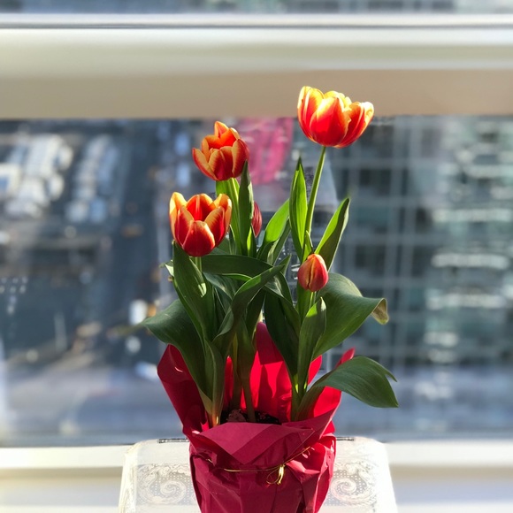 It’s time for closet cleaning! Send me an offer! - Picture 8 of 8